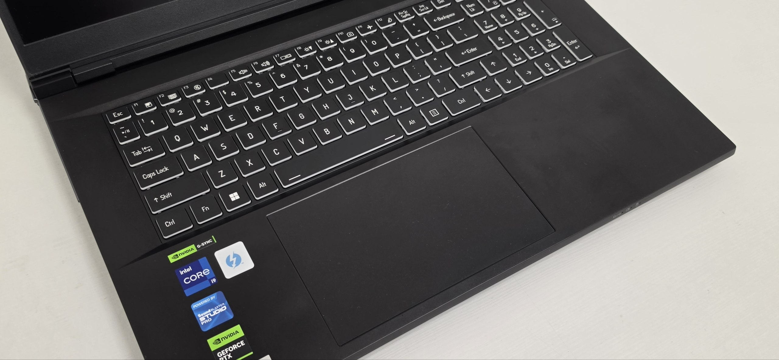 Игровой ноутбук Hasee GX10R9 i9 13900HX RTX 4080 4