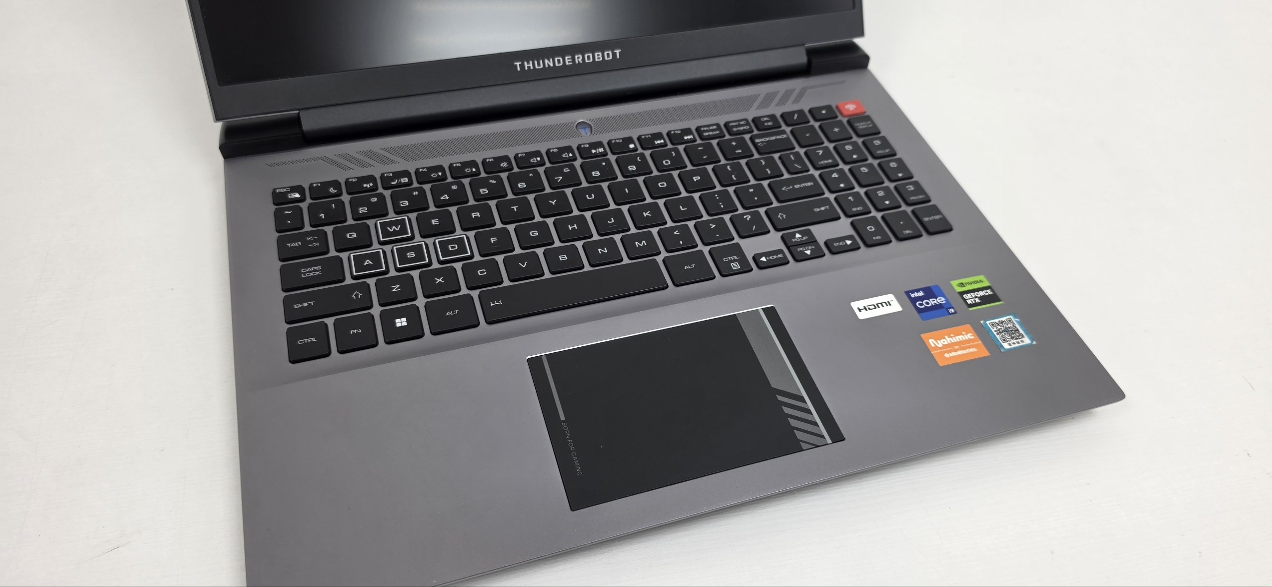 Игровой ноутбук Thunderobot Zero RTX 4090 I9-13900HX  5